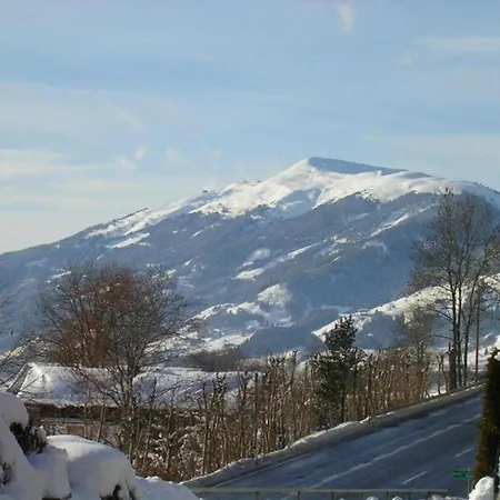 Beautiful In With Balcony Lejlighed Mittersill