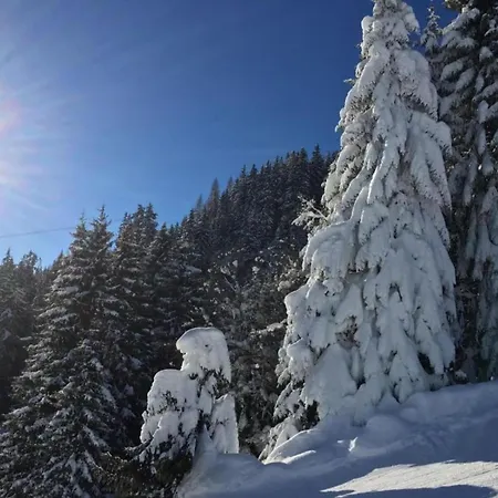 Beautiful In With Balcony *